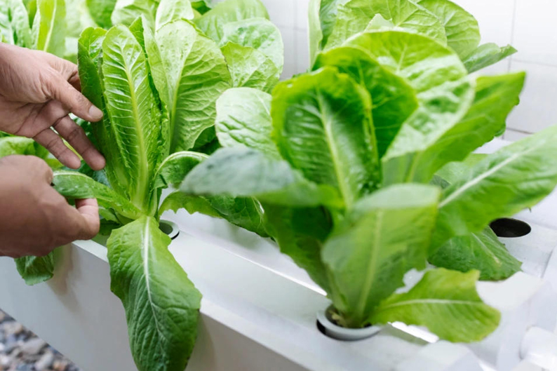 10 أسرار لا يعرفها إلا فني تنسيق حدائق في الكويت فني تنسيق حدائق تنسيق حدائق الكويت صيانة حدائق منزلية kuwait-Landscaping-technician -10-secrets تطبيق أي نيد ineed أكوابونيك وهيدروبونيك https://pin.it/4msQB8WKe 10 أسرار لا يعرفها إلا فني تنسيق حدائق في الكويت
فني تنسيق حدائق
تنسيق حدائق الكويت
صيانة حدائق منزلية
kuwait-Landscaping-technician -10-secrets
تطبيق أي نيد ineed
أكوابونيك وهيدروبونيك
https://pin.it/4msQB8WKe
https://pin.it/73KN7I8P6